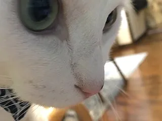 あの世で獄卒になってケツバット