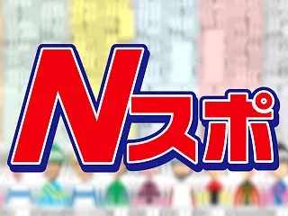 ２０２６年菊花賞Nスポ確定版！！