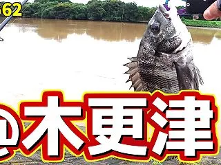【木更津】増水＋大潮満潮はチャンス！？警…