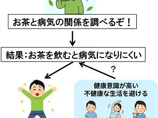 お茶の健康効果の調査とバイアスの可能性