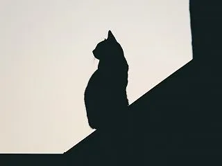 ローソク足の「ヒゲ」って、おかしくないか…