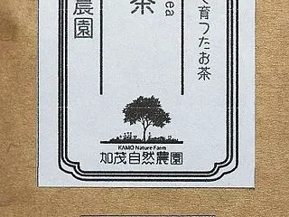 白茶（2024年）やぶきた