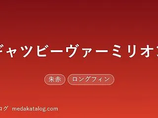 ギャツビーヴァーミリオンとは｜特徴・値段…
