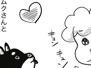 黒柴のムクさん