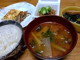 収穫してきた野菜