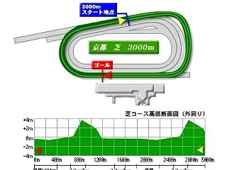 菊花賞2026の予想！！【京都競馬芝30…