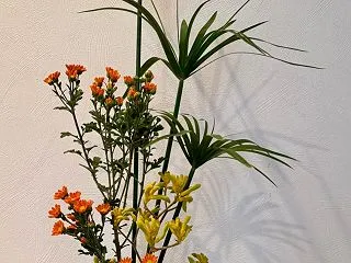 今日のお花