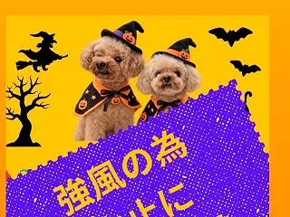”【※中止のお知らせ】10/25（日）譲…