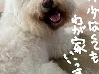 祝退院！