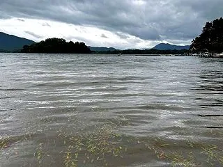 ボートが漂着、レスキュー依頼