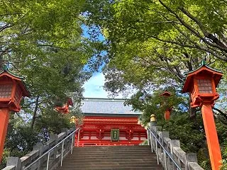 挙動不審