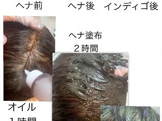 季節の変わり目 天然ヘナしながら ひまし…