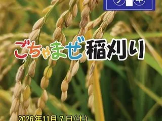 【ごちゃまぜ食堂ｘクスノキノタンボ】11…