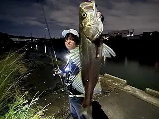 秋のハイシーズン 衣浦シーバス