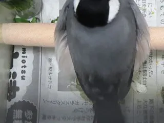 心配