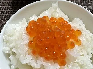 【楽天ふるさと納税】お得に制度を利用した…