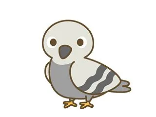 【画像】ハトの巣、適当すぎワロタｗｗｗｗ…