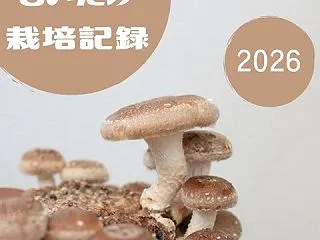 【しいたけ栽培記録2026】3年ぶりにお…