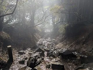 雨煙る丹沢大山、孤独の歩荷トレーニング｜…
