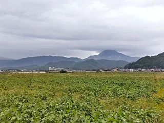 曇り空の下で