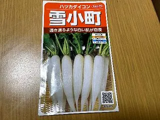 はつかだいこん、開始(2026)