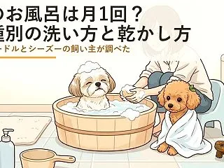 犬のお風呂は月1回で十分？犬種別の洗い方…