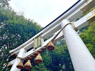 運気を上げる第一歩は「身体の器」から