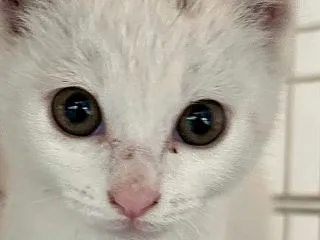 ネジのこと