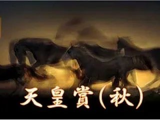 2026 天皇賞（秋） 過去10年データ…