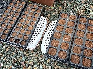 ほうれん草、タマネギ、島ニンニク、20日…
