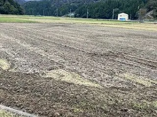 何とか「秋起こし」を済ませました