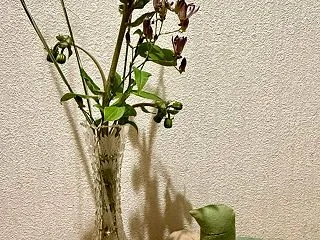 ざる蕎麦？ もり蕎麦？