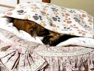 素敵な水曜日