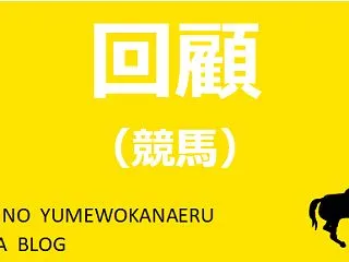 菊花賞 回顧 ～まさかまさかの良馬場！？…