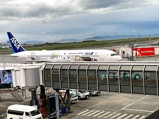 松山空港に遊んだらデッキに人だかり AN…
