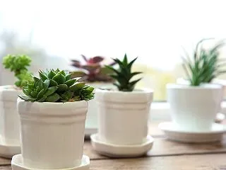 受験期に家庭が荒れるのは、成績の問題だけ…