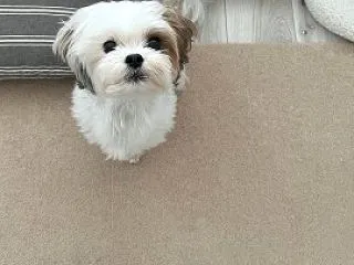 各々
