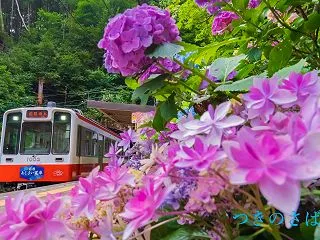 2027 ぶらり鉄道の旅カレンダー＆なご…