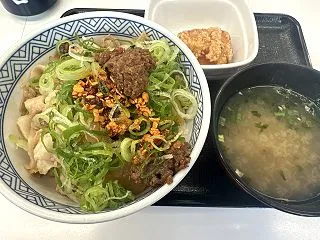 吉野家の肉味噌ネギ豚丼とから揚げ、みそ汁…