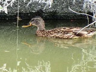 とりあえず満足満足・・・、の巻