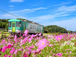 '26秋桜の北条鉄道・加古川線撮影記