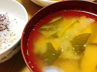 昨日はトンテキを食べました