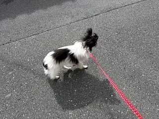 雨の合間に