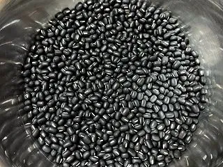 オセロ小豆栽培⑧♪