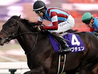 【菊花賞2026】血統最終予想、３冠なる…