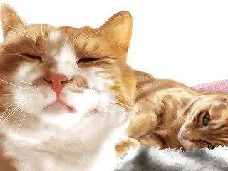 ちょっと手直し
