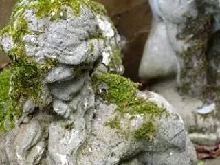 【古きと進化】練習での氣憶#567～古い…
