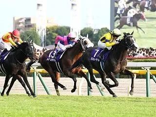 【天皇賞(秋)2026予想】出走馬情報・…