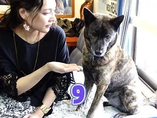 「そんな犬飼うな」「うちも同じです」意見…