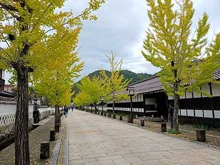 うつくしい風景